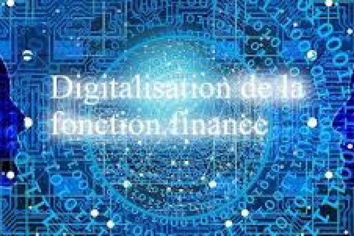 Digitalisation de la fonction finance et gain de productivité dans une activité de négoce - Mission de DAF en temps partagé